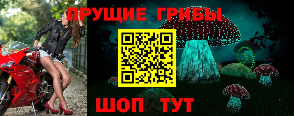 ГАШ Артём