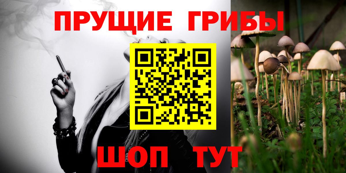 Артём  Псилоцибиновые грибы ЛСД  Вход с VPN  Галлюциногенные грибы ЛСД 